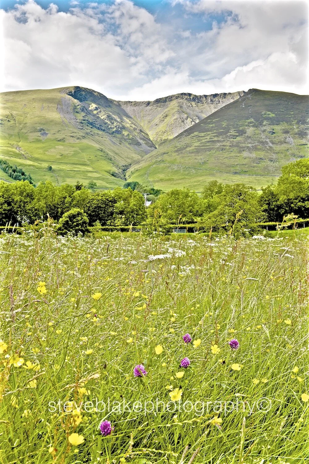 Blencathra from a summer meadow, Threlkeld