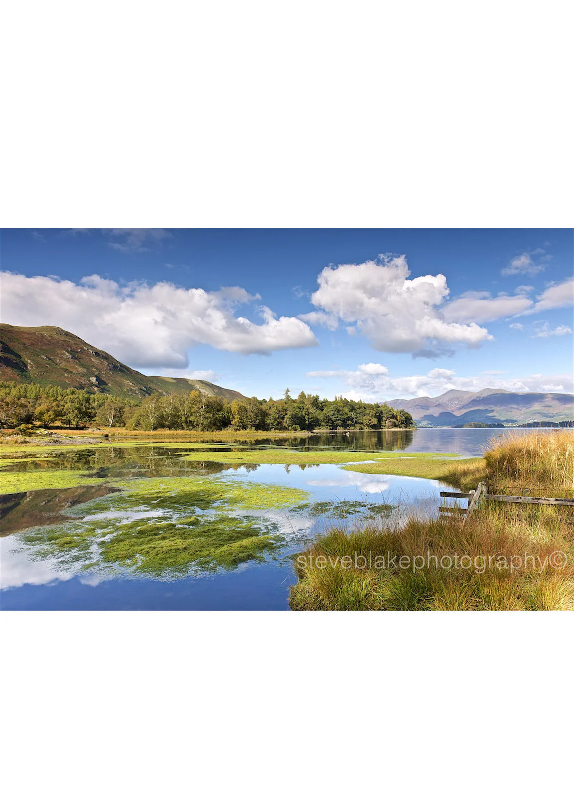 Derwent Water from Myrtle Bay, Borrowdale