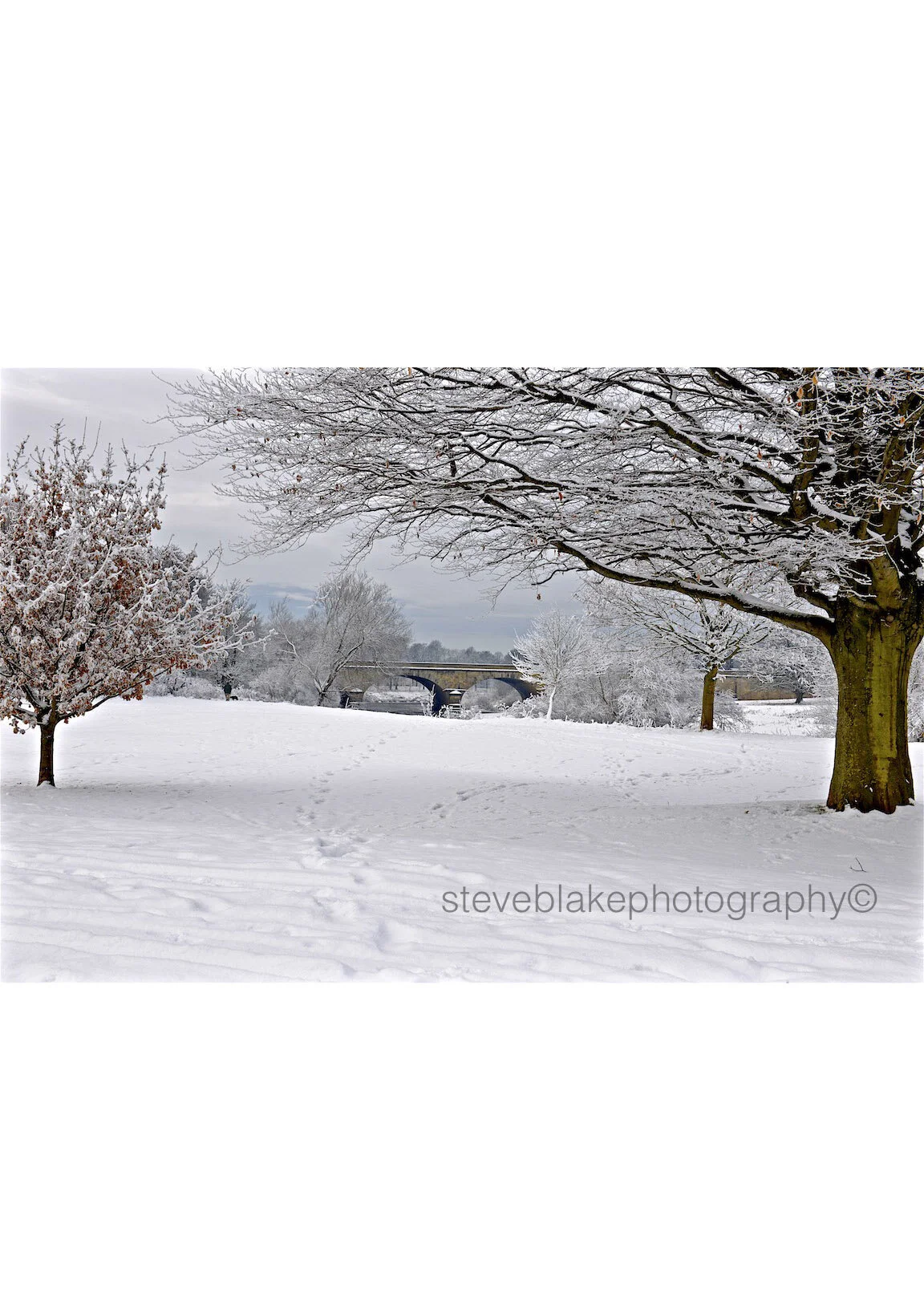 Eden Bridge in winter from The Swifts, Carlisle.jpg