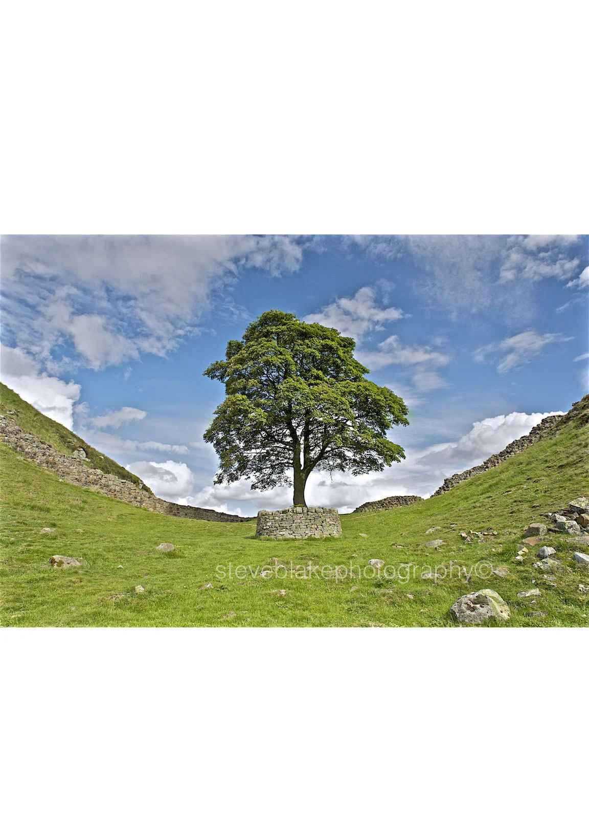 Sycamore Gap - Hadrian_s Wall, Northumberland.jpg