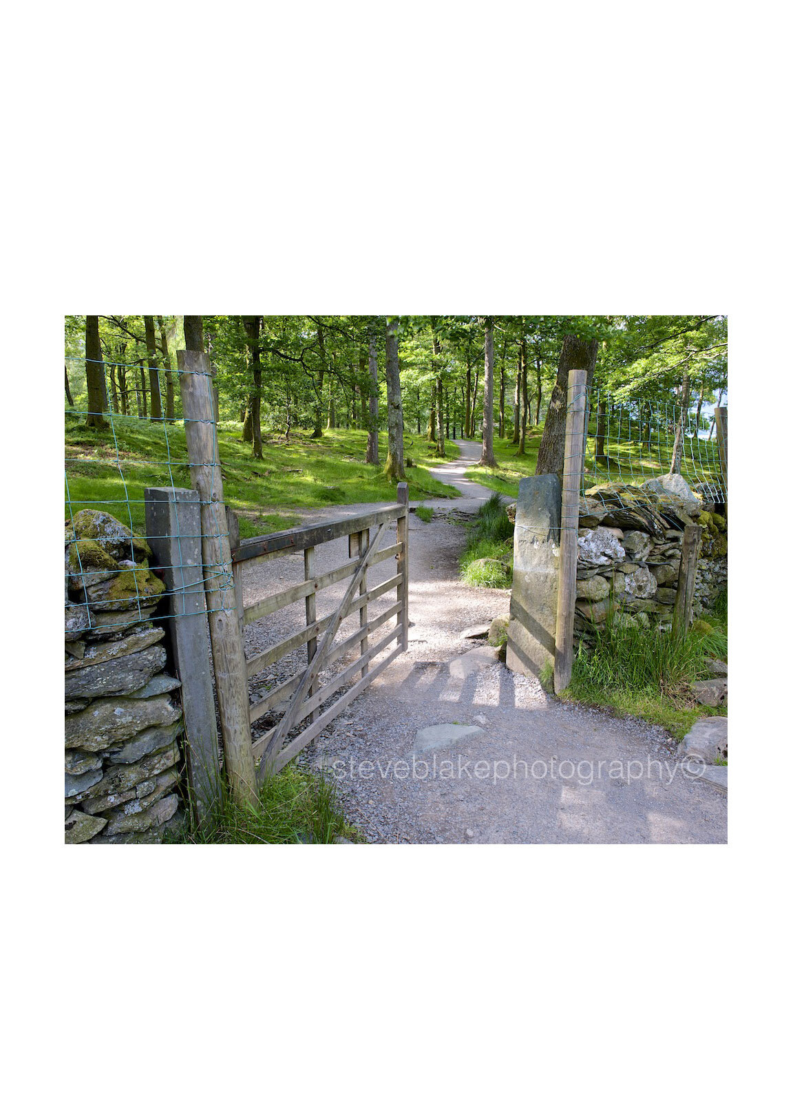 Invitation, Borrowdale Gate, Myrtle Bay..jpg