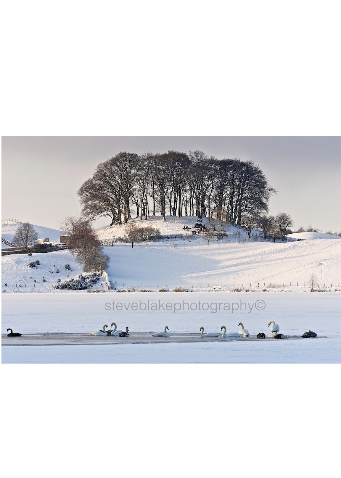 Hard winter, Talkin Tarn, Brampton, Cumbria.jpg
