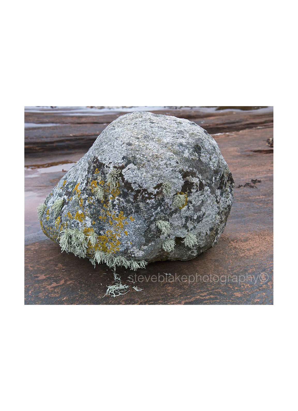 Granite boulder on sandstone, Arran.jpg