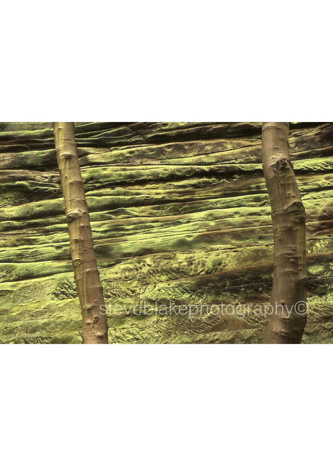 Contrast in Sandstone.jpg