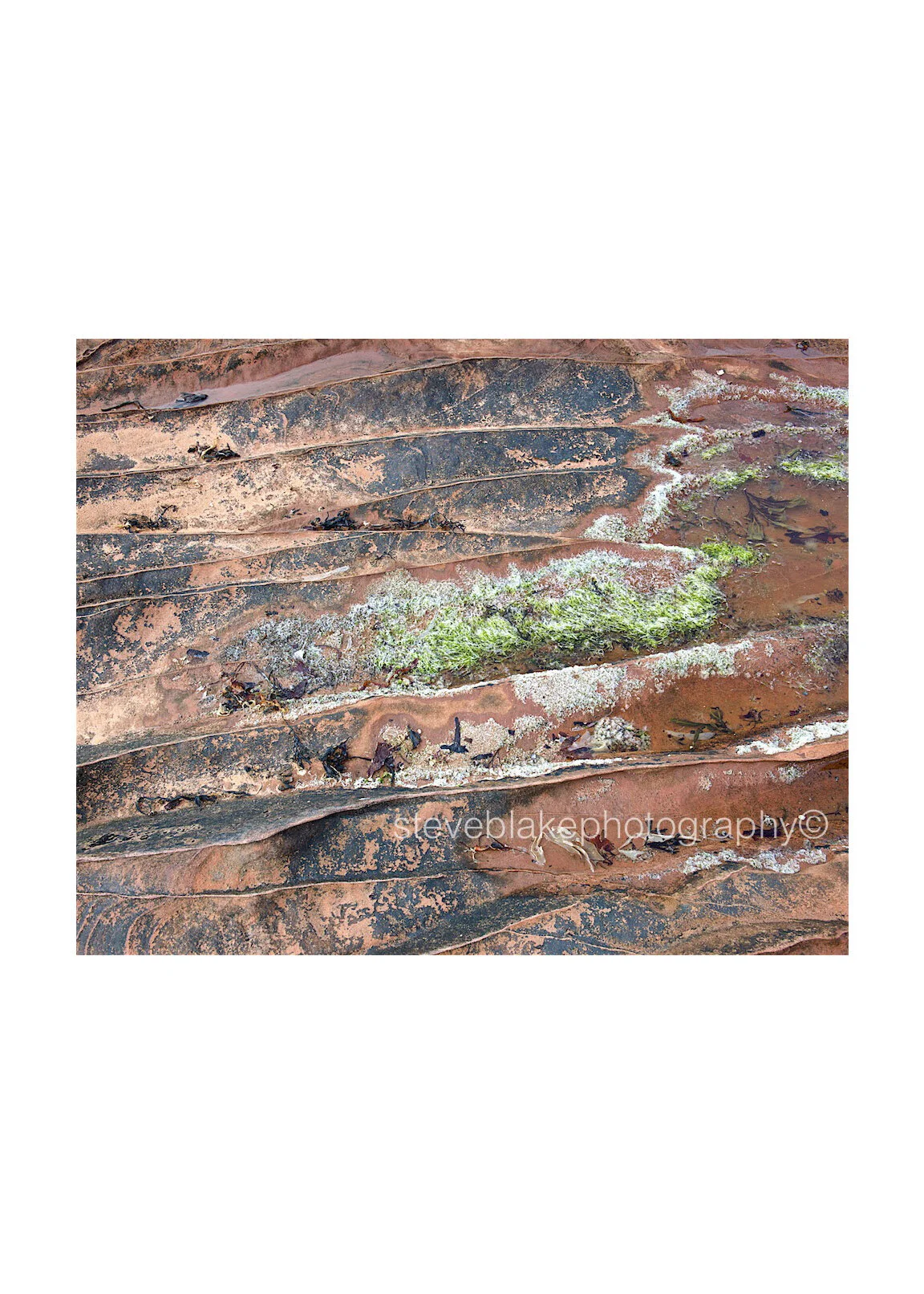 Repeat - sandstone erosion, Isle of Arran.jpg