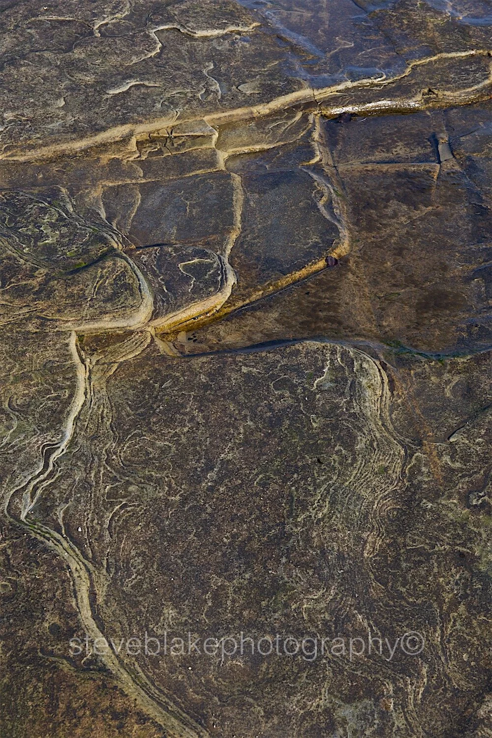 Textures in stone.jpg