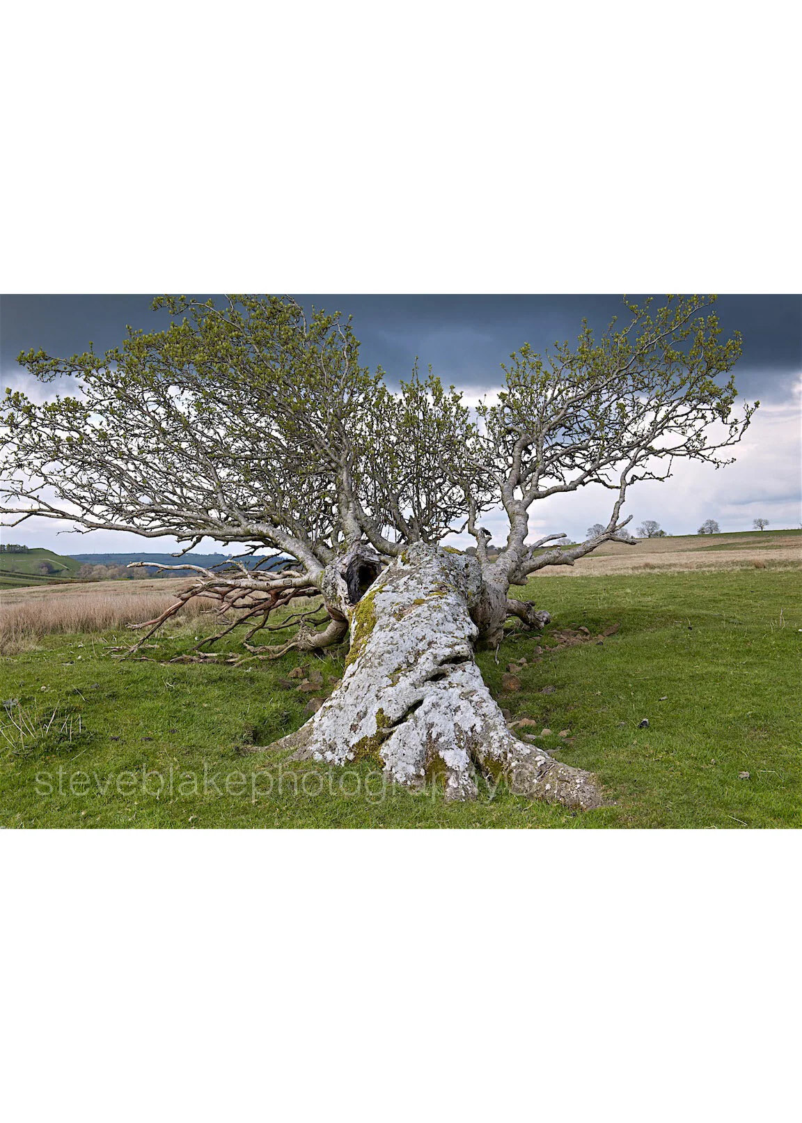 The Fallen - Caldbeck.jpg