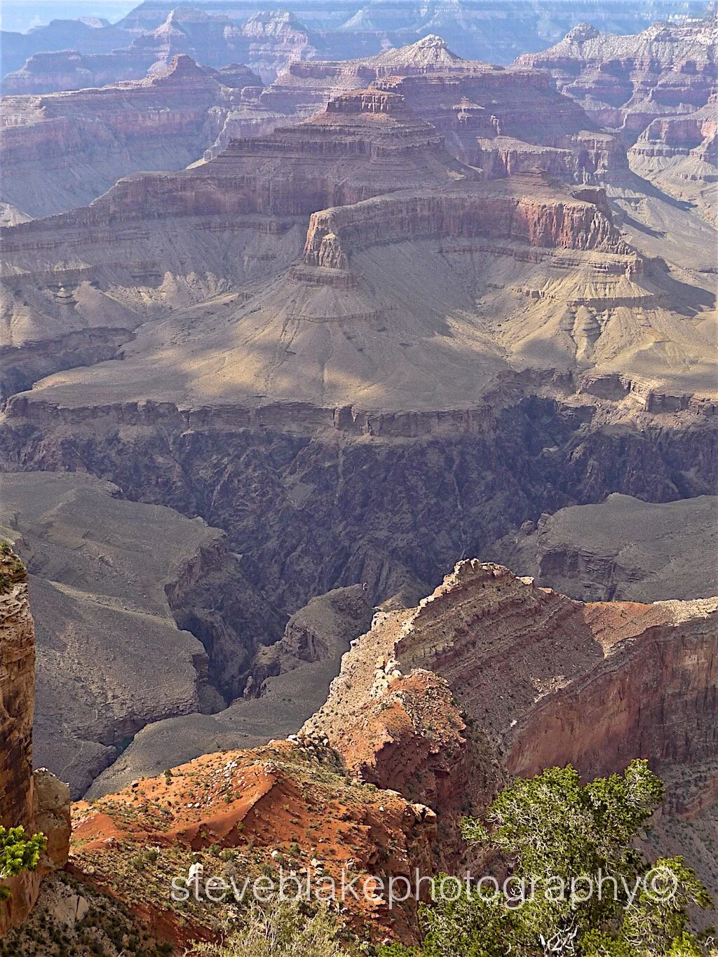 Along the ridge - Grand Canyon, Arizona.jpg