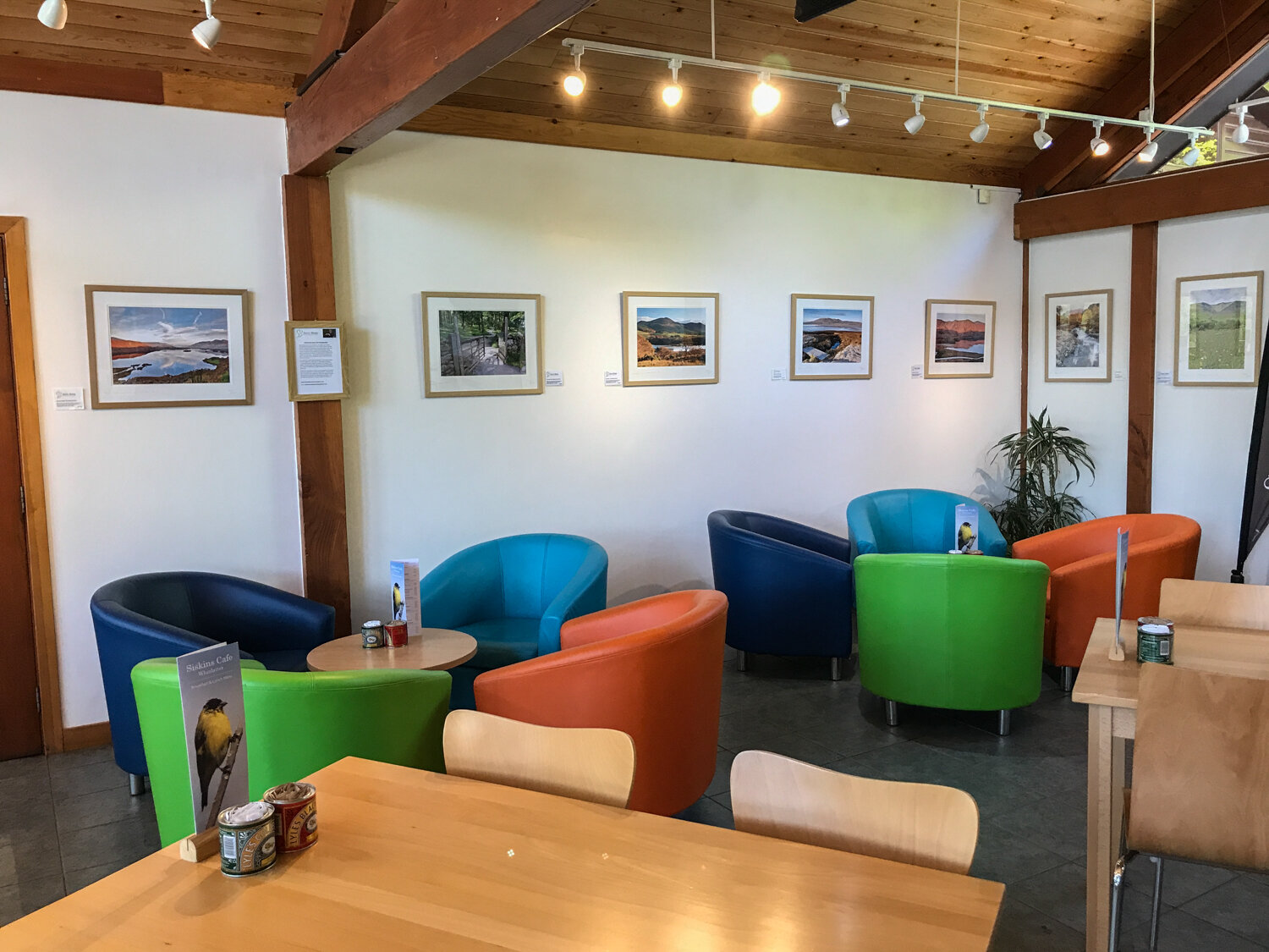 Exhibition at Whinlatter Forest Visitor Centre.jpg