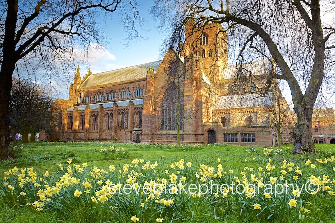 Carlisle Cathedral with spring daffodils.jpg