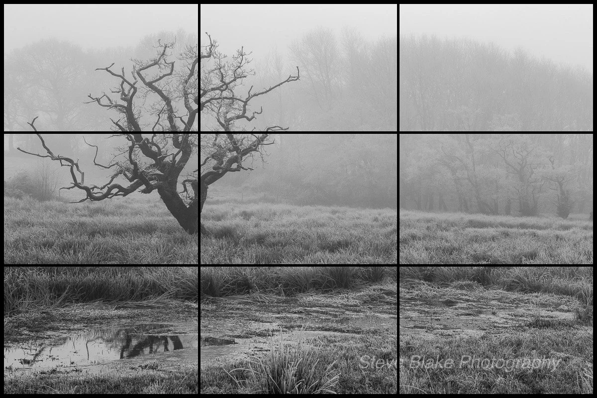 Understanding the Rule of Thirds