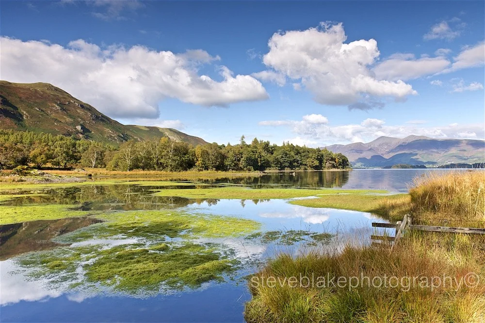 Derwent Water from Myrtle Bay, Borrowdale.