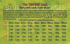 Green DEPSSI Card
