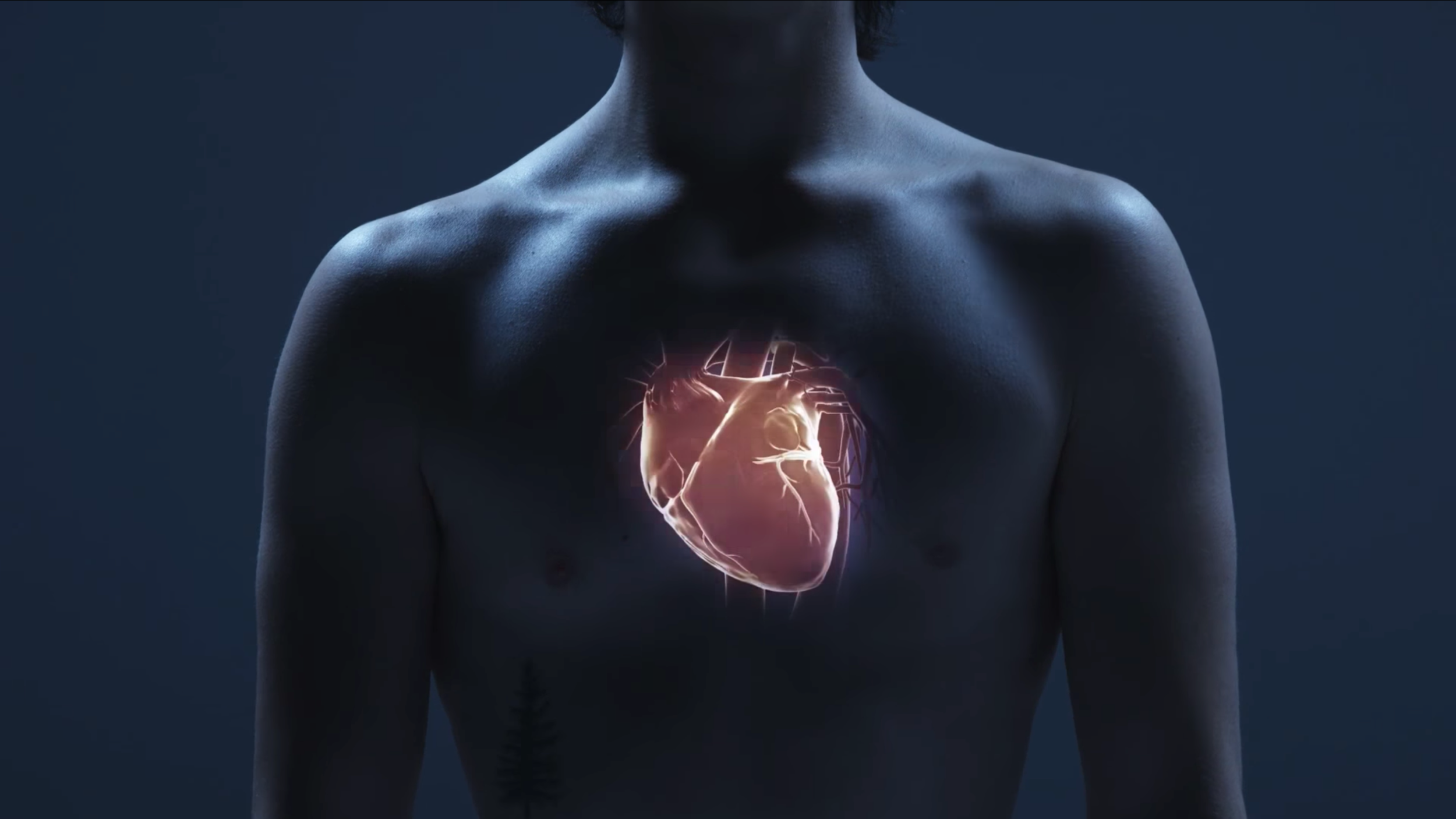 Your Body During Sex