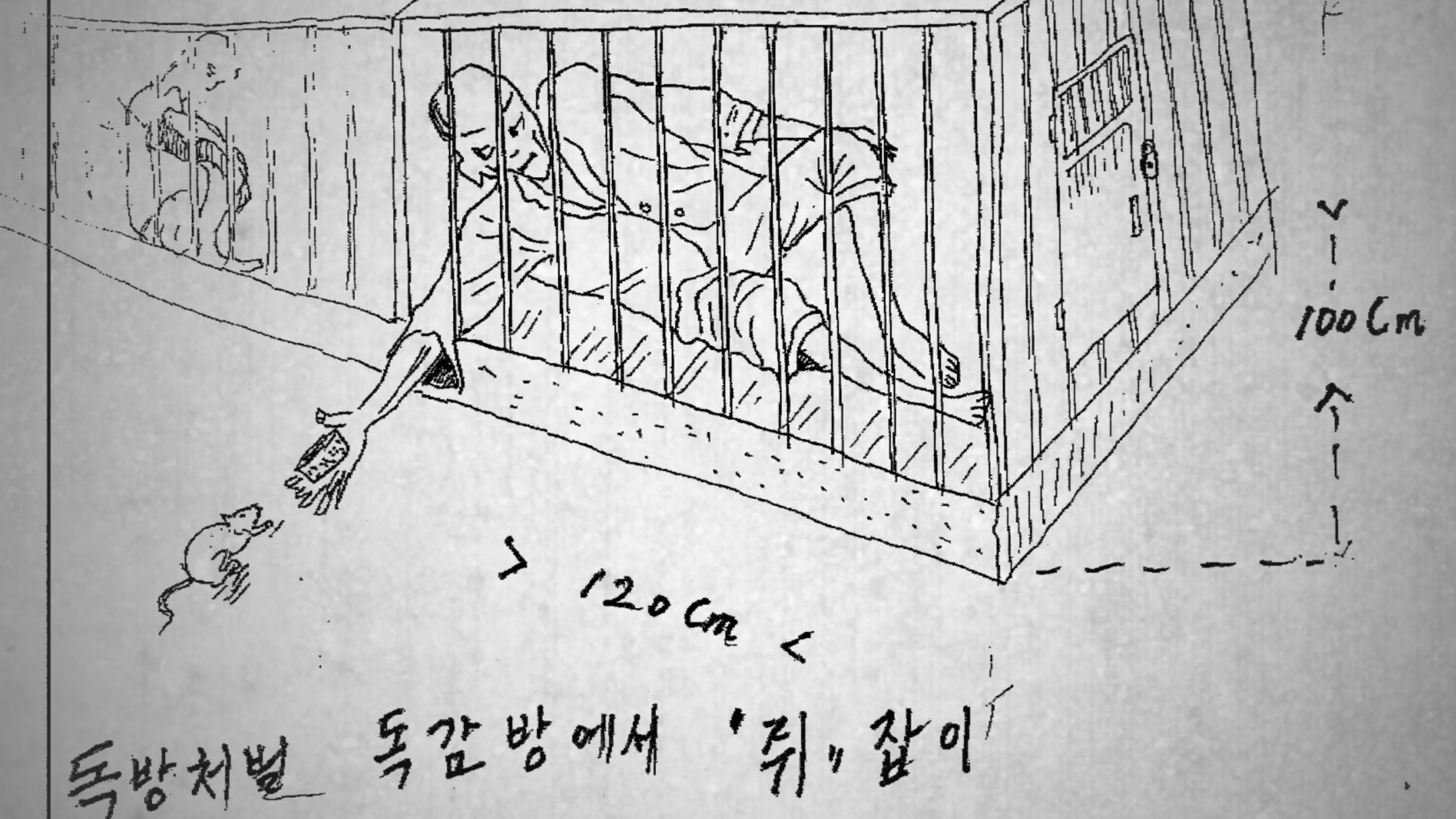 Screen Shot 2018-01-21 at 5.21.45 PM.png