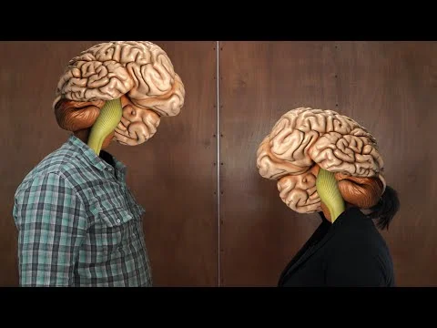 Brain Facts Your Brain Doesn't Know About