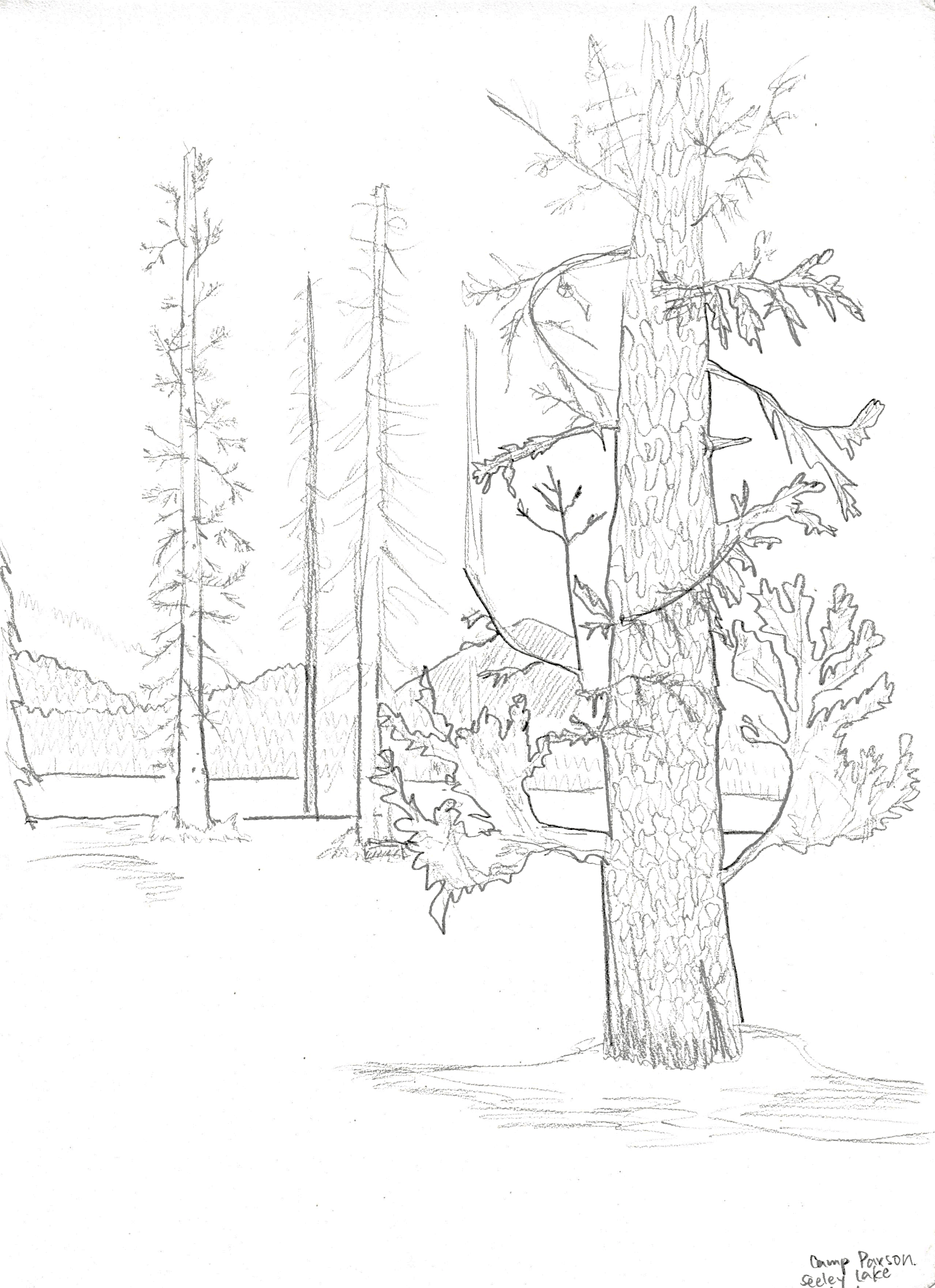 Camp Paxson, Montana. 2021/09/20