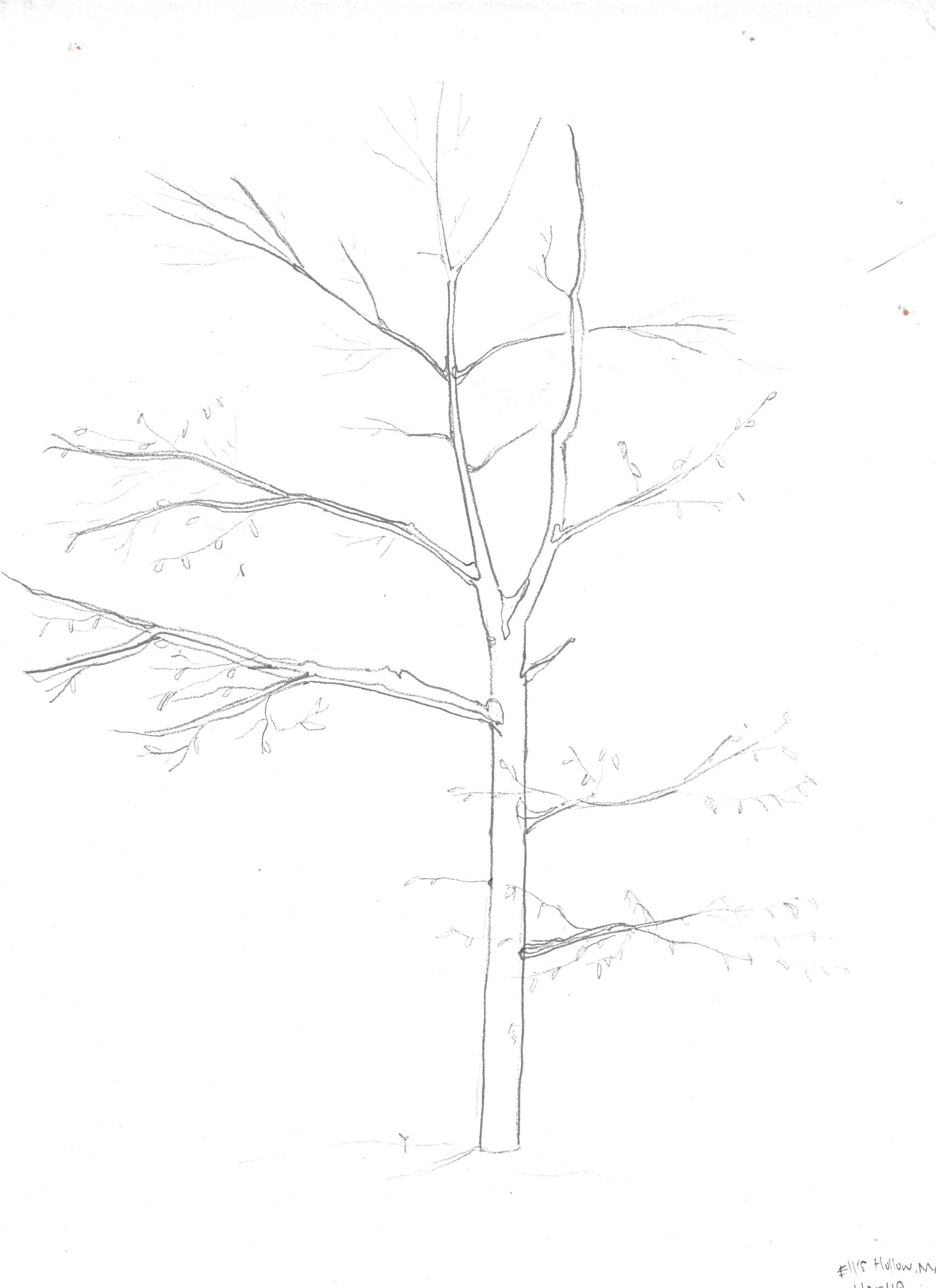 Ellis Hollow, New York. 2019/01/20