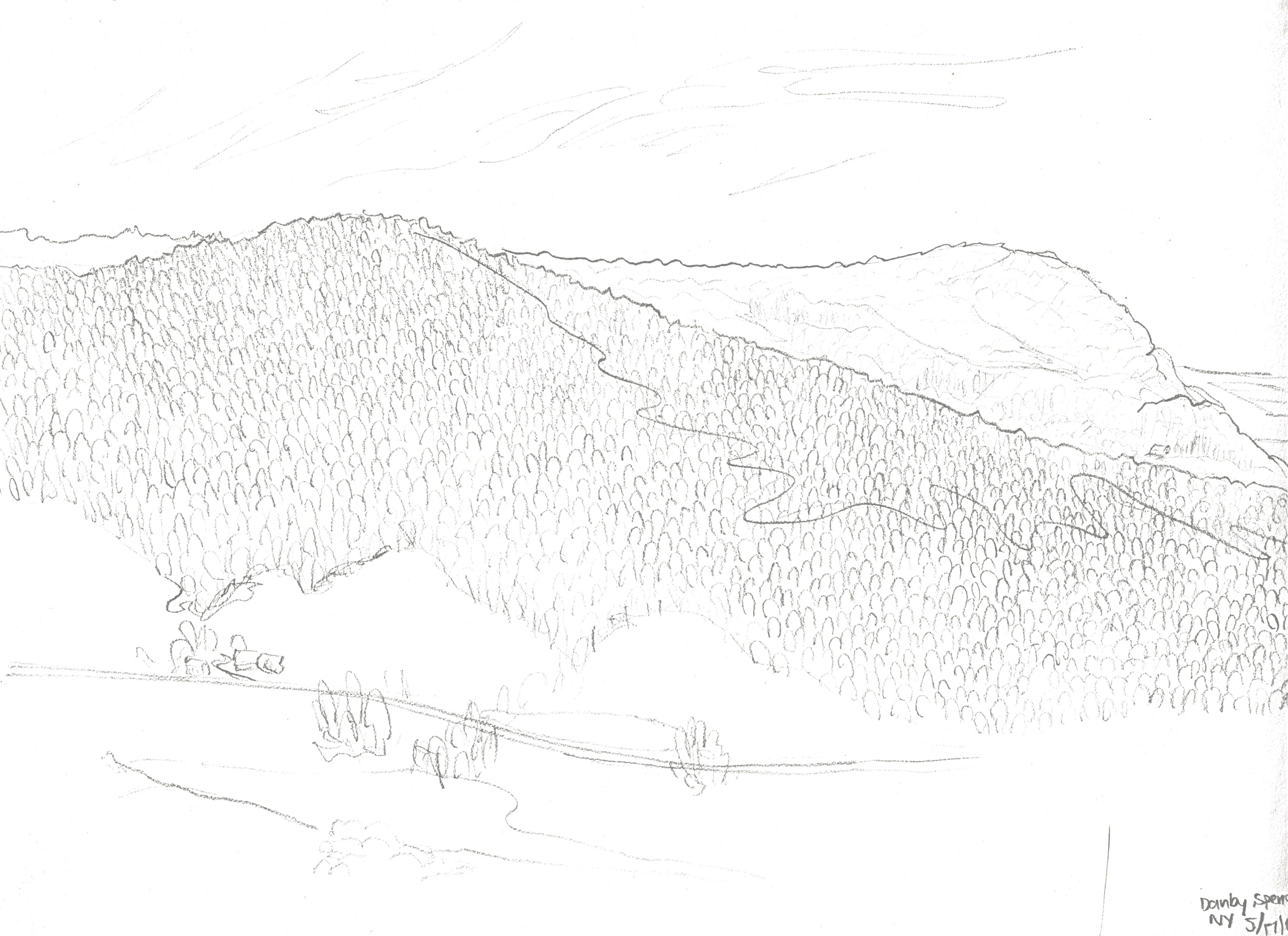 Danby, New York. 2018/05/17