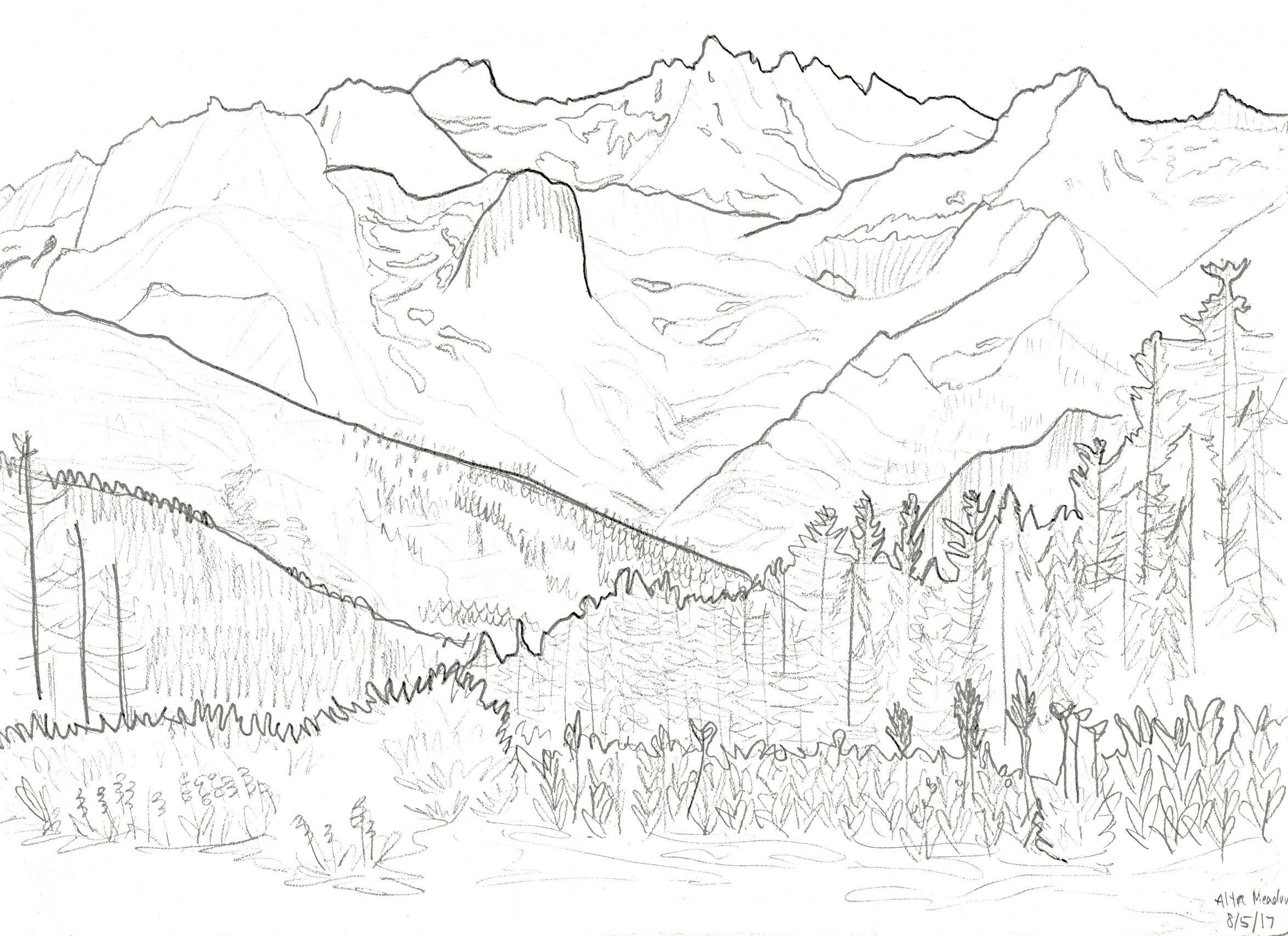 Alta Meadows, Sequoia California. 2017/08/05