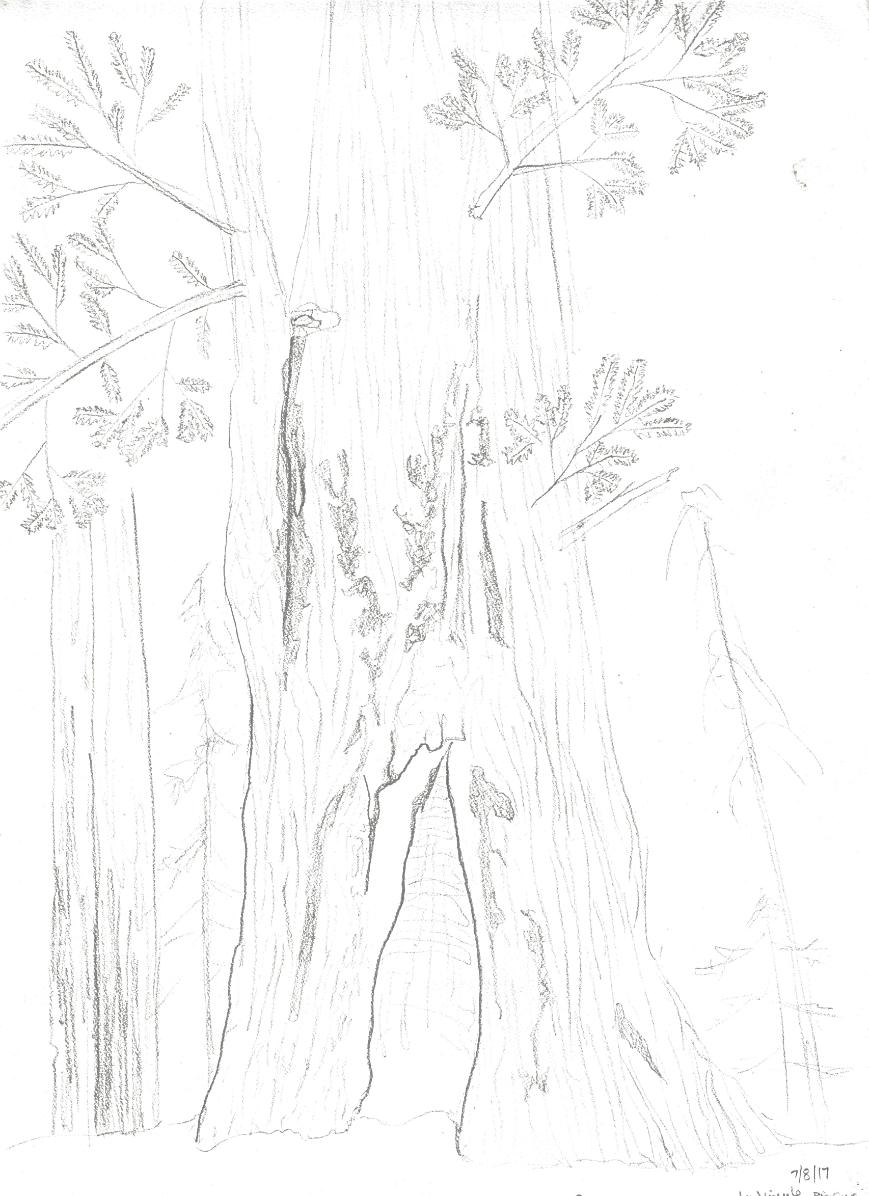 Big Sur, California. 2017/07/08