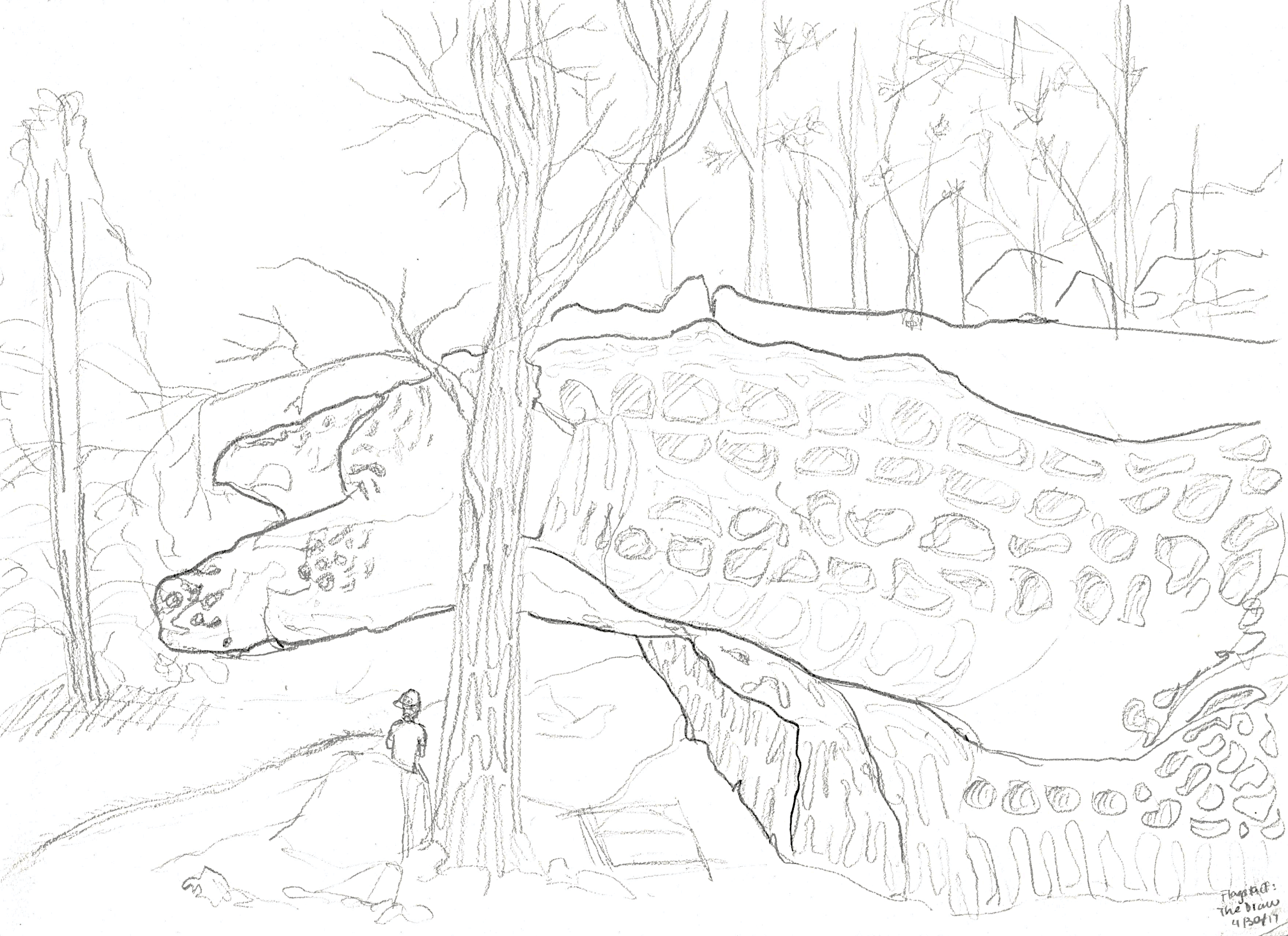 Flagstaff, Arizona. 2017/04/30