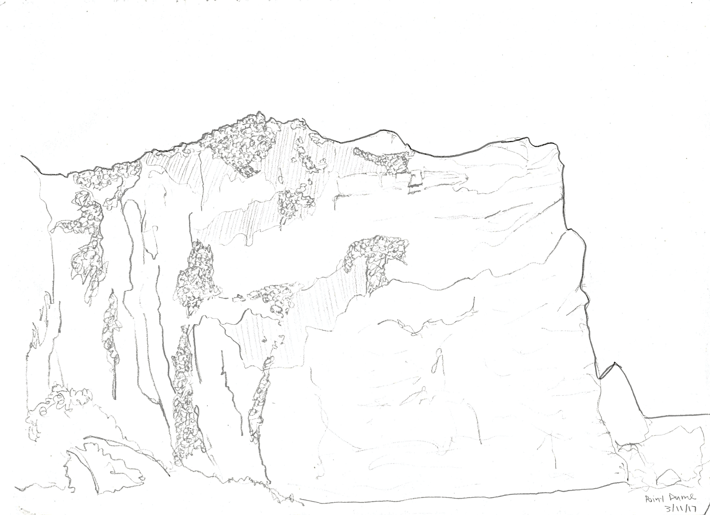 Point Dume Spring, Malibu California. 2017/03/11