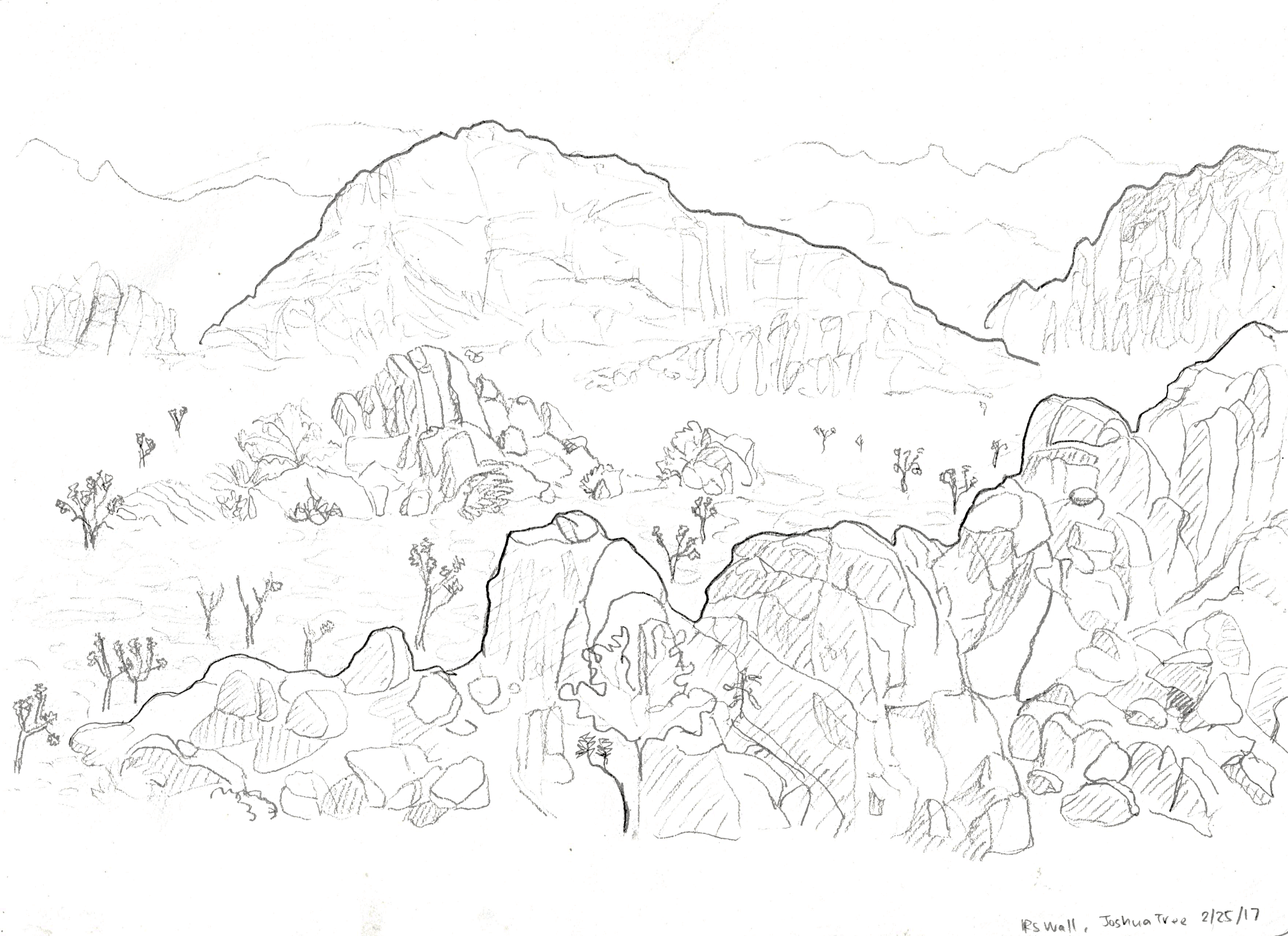 Joshua Tree, California. 2017/02/25