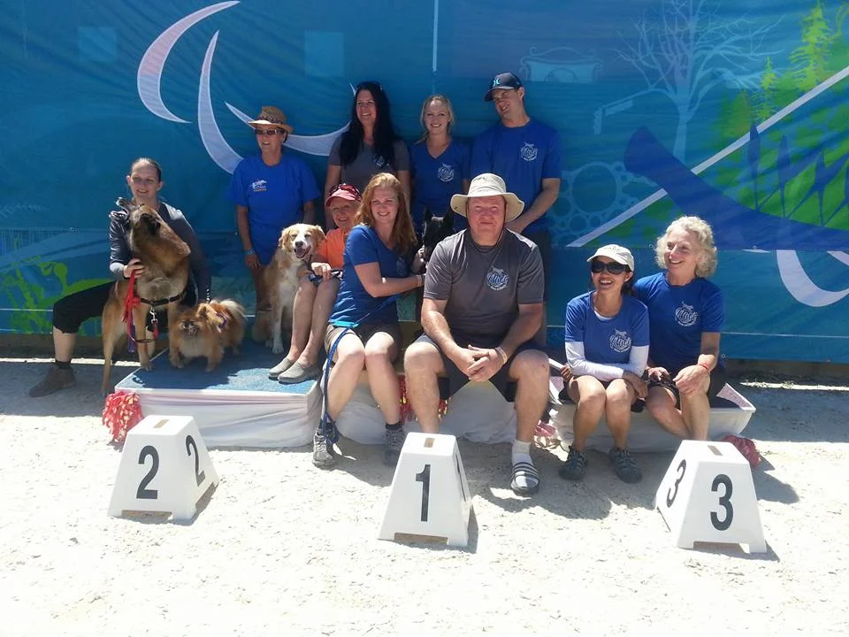 INSTRUCTORS We are a small dedicated team of agility enthusiasts with extensive training and experience. Meet our instructors.