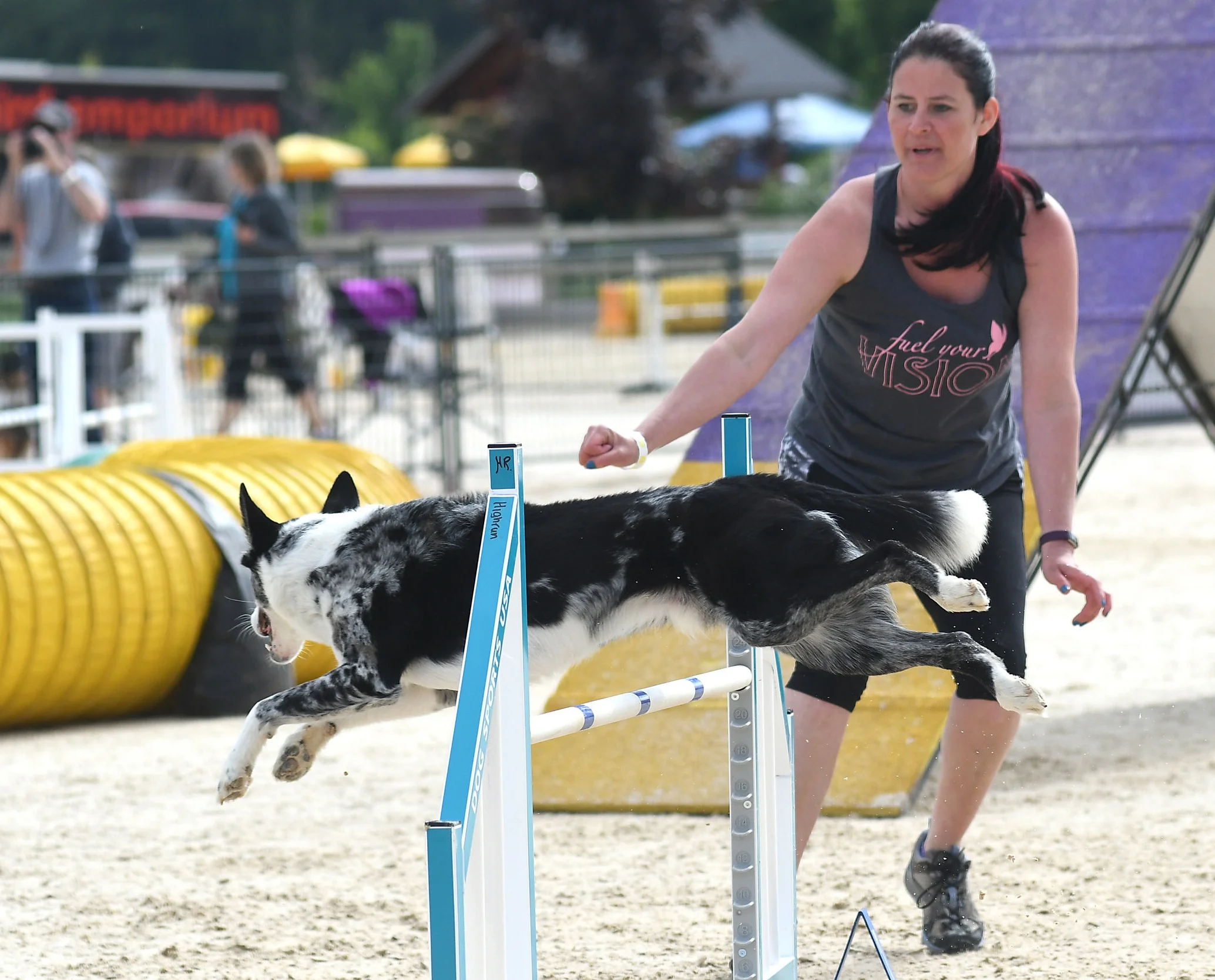 TRAINING We offer beginner, intermediate, and advanced agility classes. Learn more .