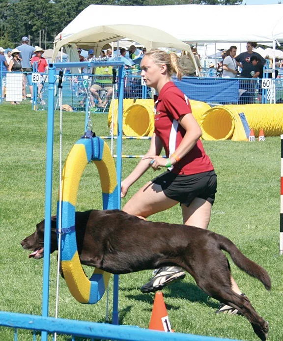 INSTRUCTORS We are a small dedicated team of agility enthusiasts with extensive training and experience. Meet our instructors.