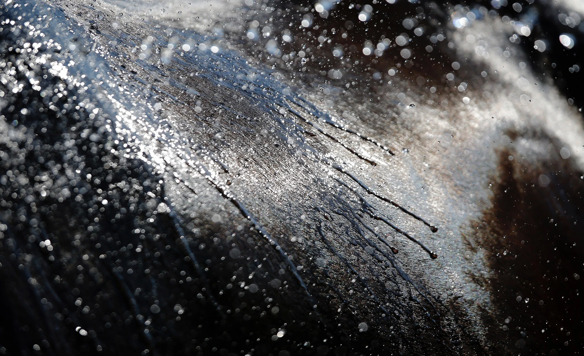 Washing_horse.jpg