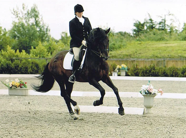 cordero_Competition.jpg