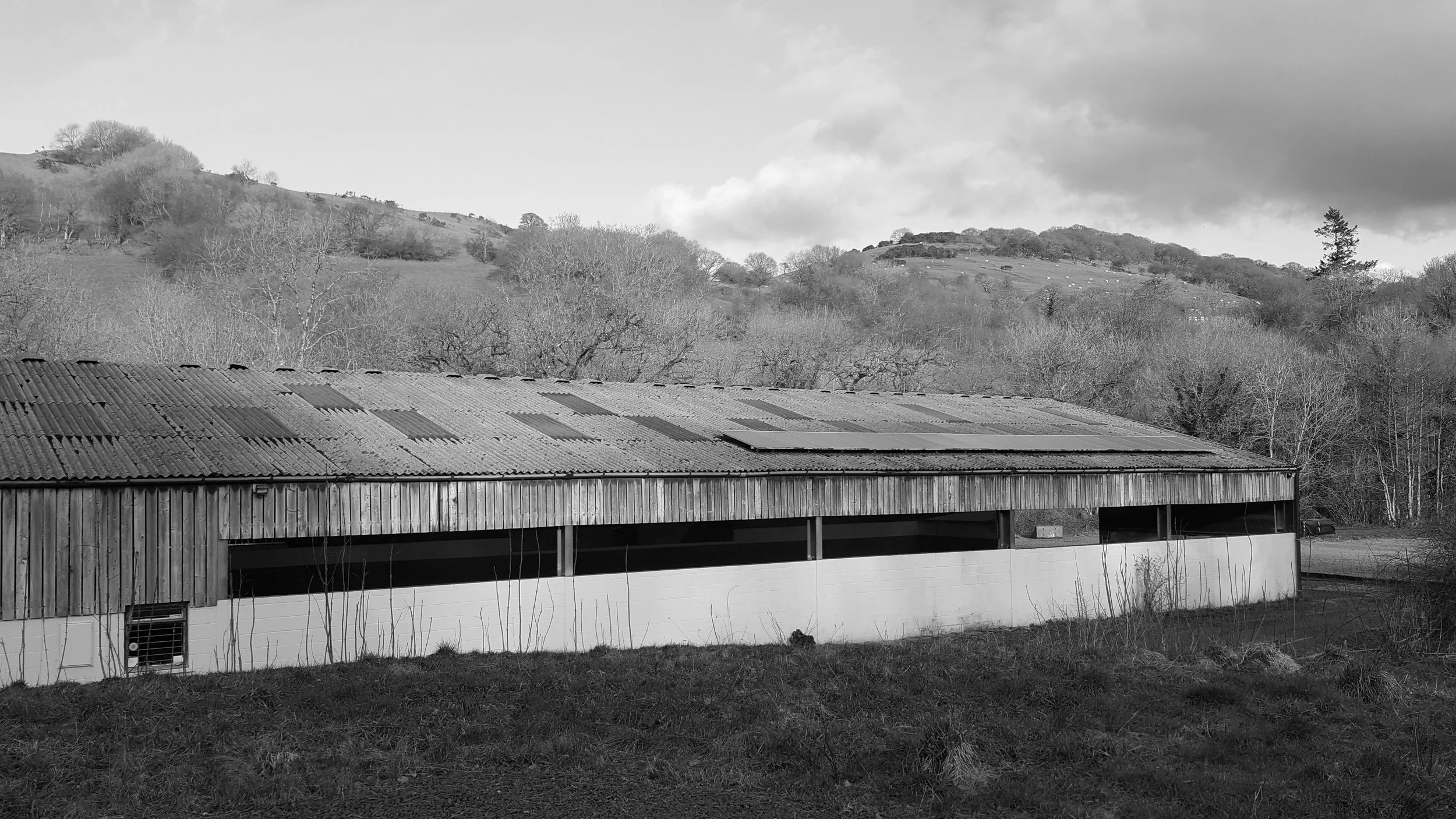 20180126_141910_bw.jpg