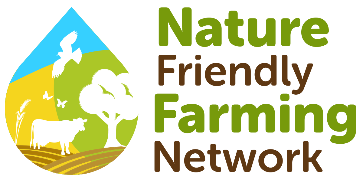NFFN logo.png