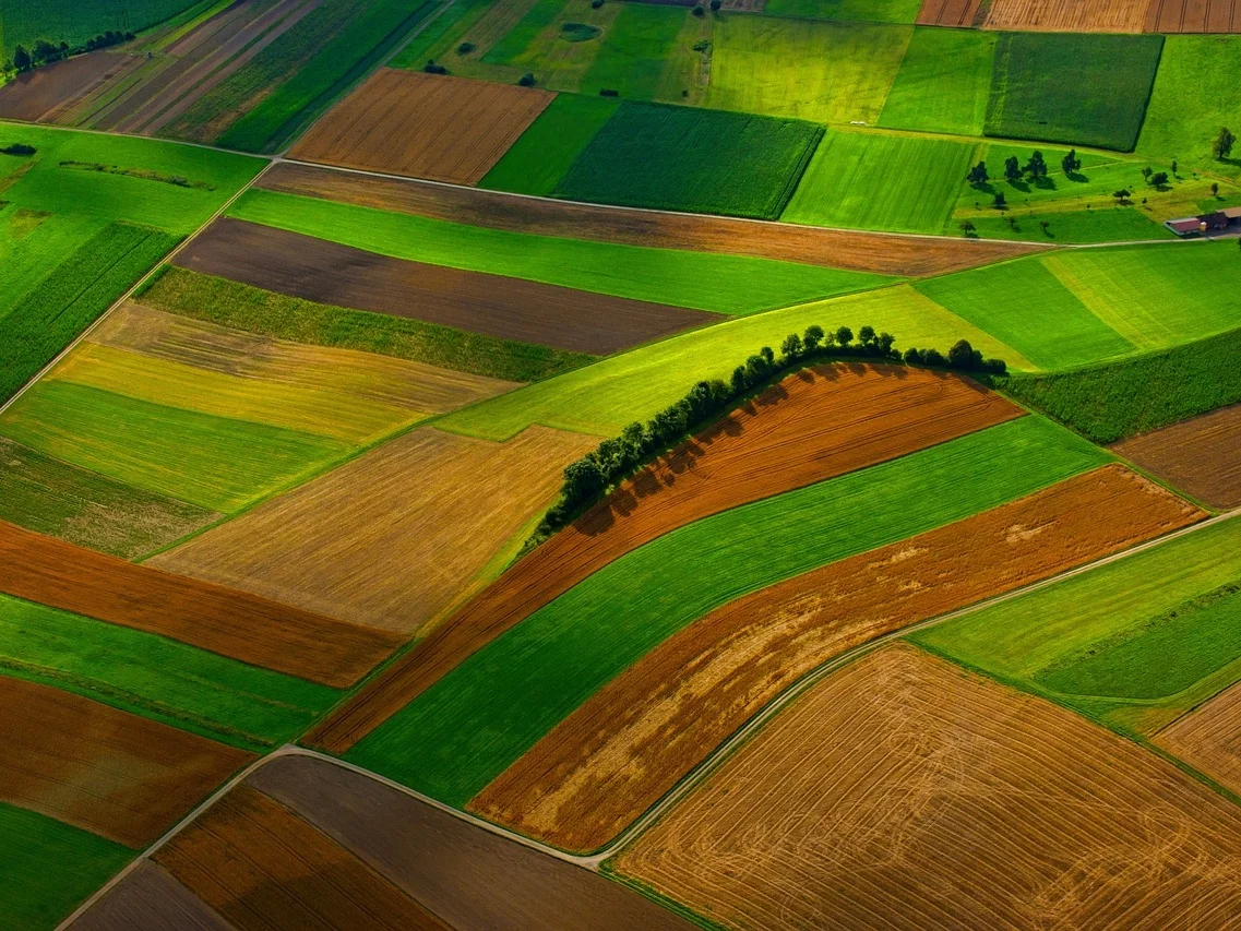 Fields.jpg