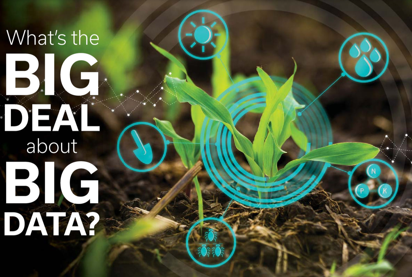 What's the BIG DEAL with Big DATA?
