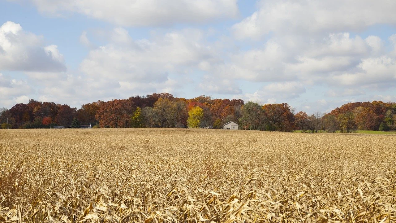 ADT Administrator Discusses Ag Data in Context of "45Z" Credits 
