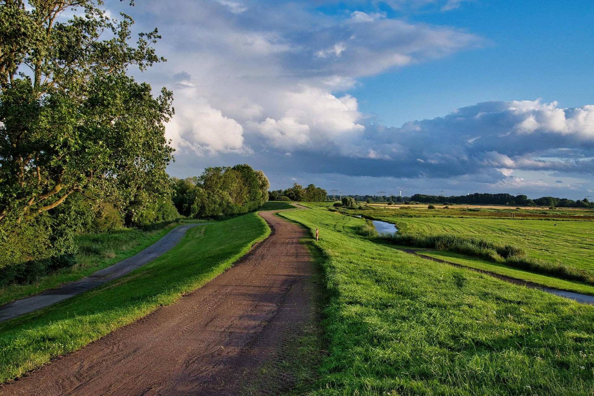 Carbon Contracts Call for Clarity: Janzen Introduces Ag Carbon Transparent 