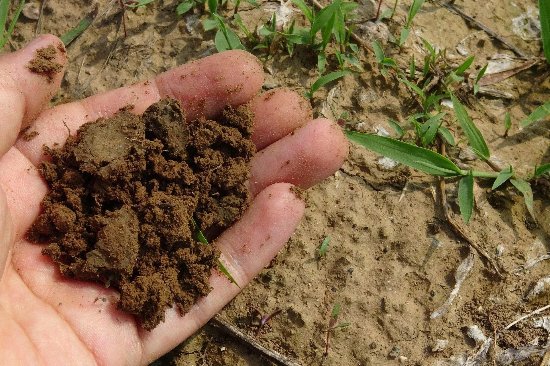 Indigo Ag Brings Clarity to Carbon Program Comparisons