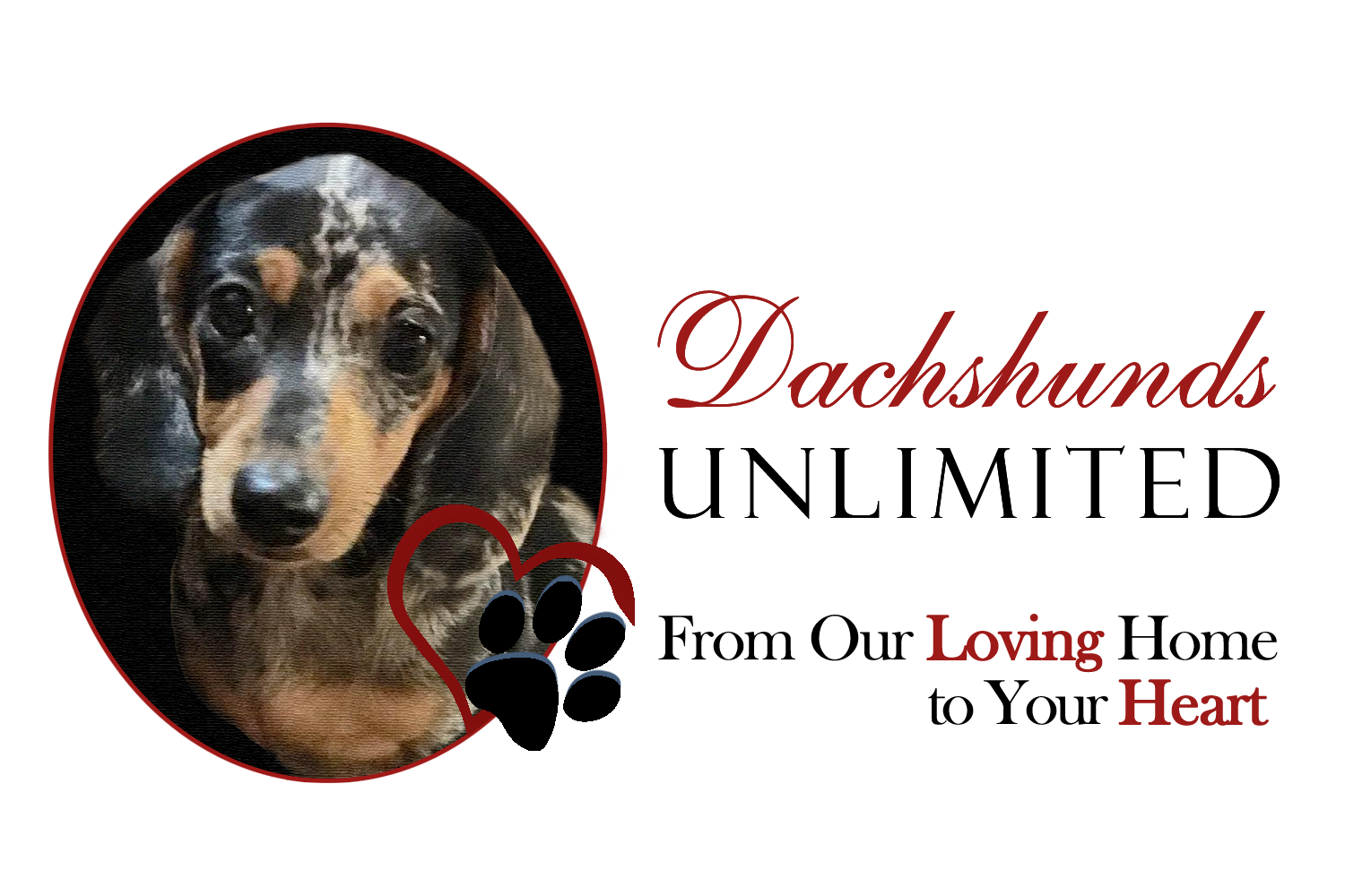 Dachshunds Unlimited