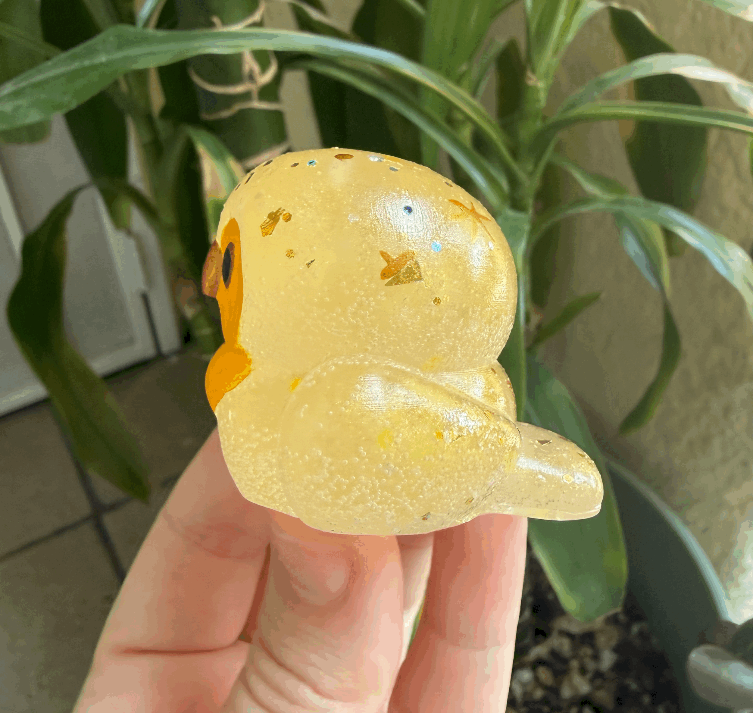 tempImagekyAfnb.gif