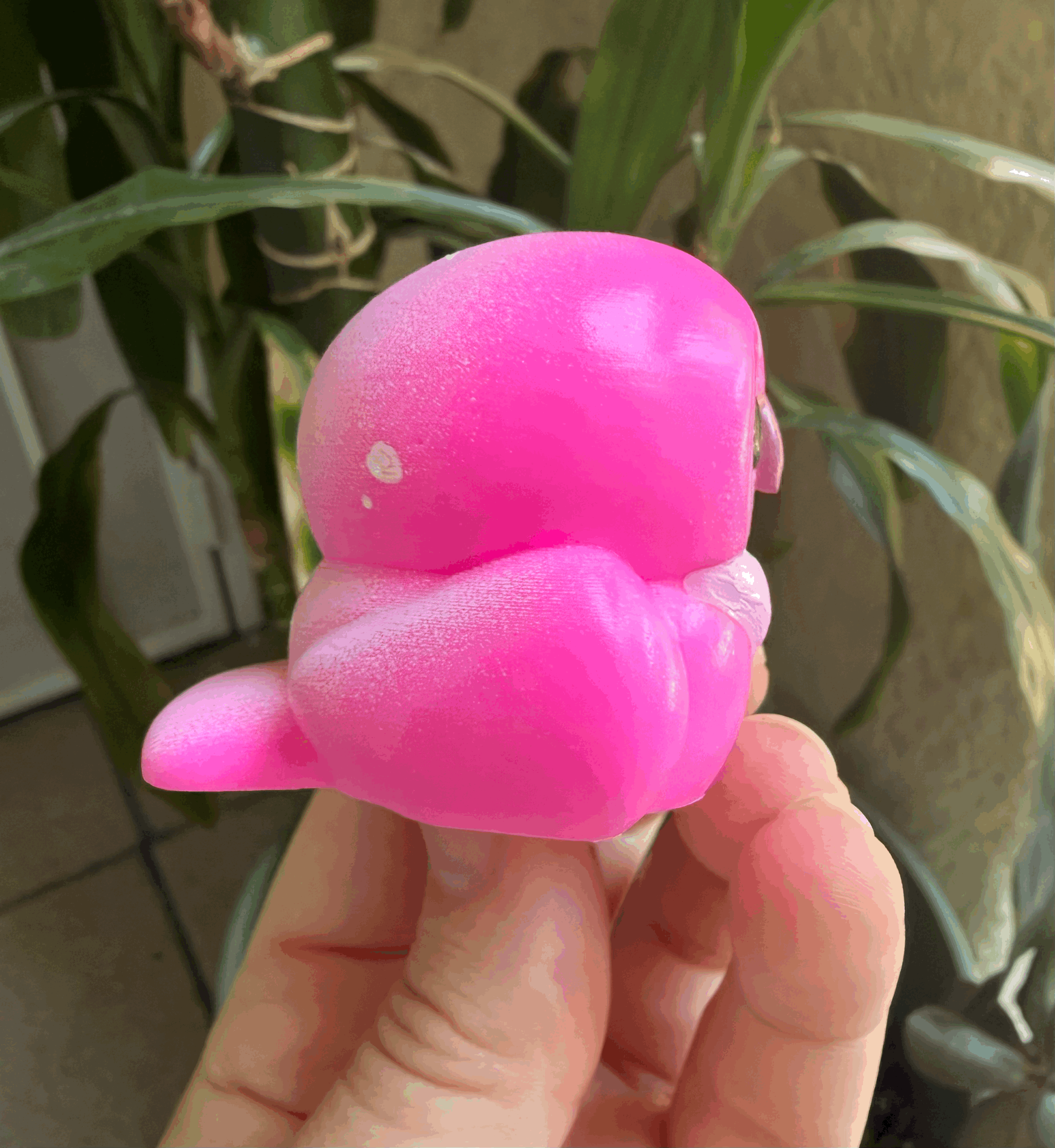 tempImagexV0hoR.gif