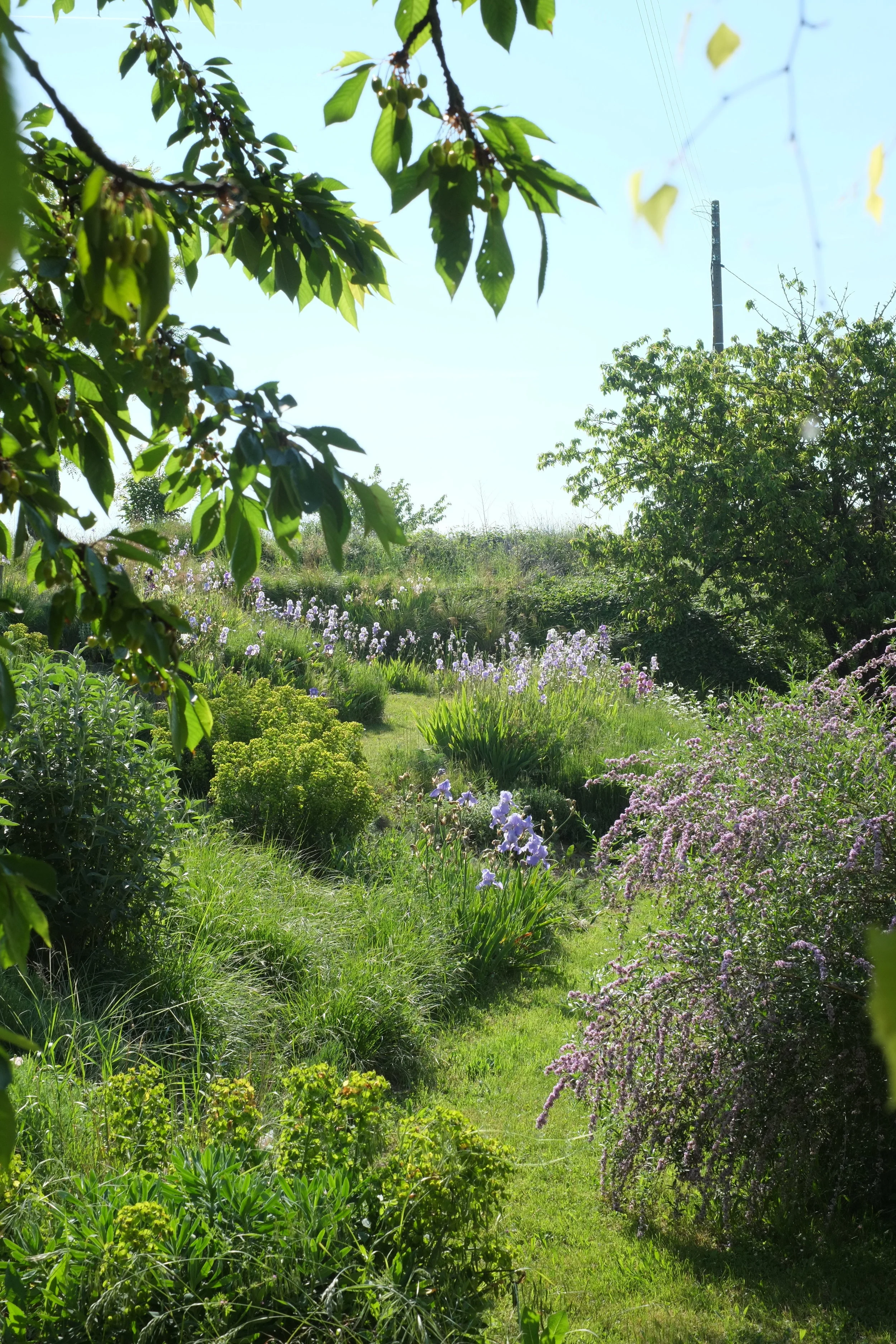 S0932678.jpg