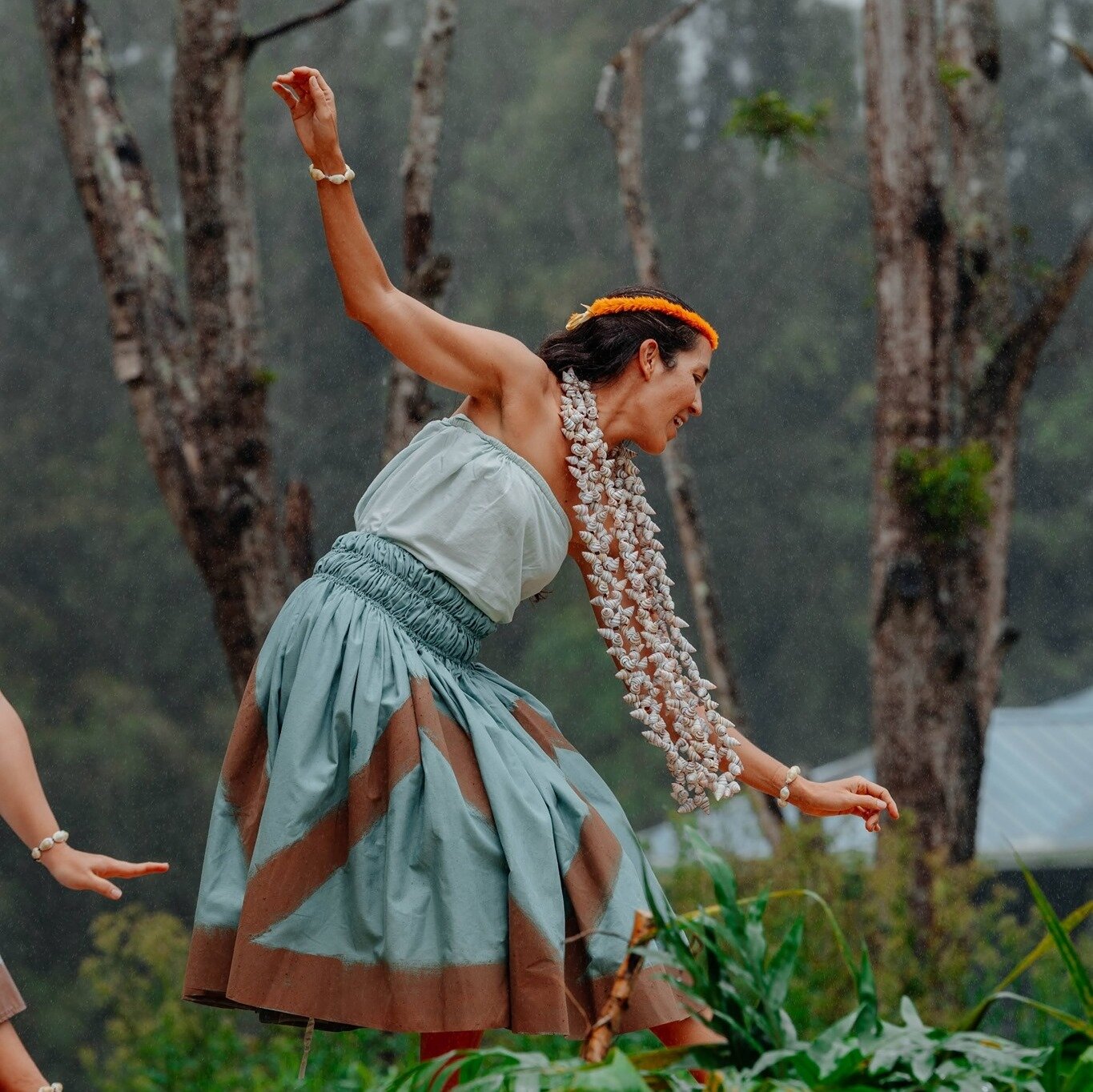 Hula is the Art of Hawaiian Dance Expressing All We See, Hear, Smell,  Taste, Touch and Feel — Halau i Ka Pono