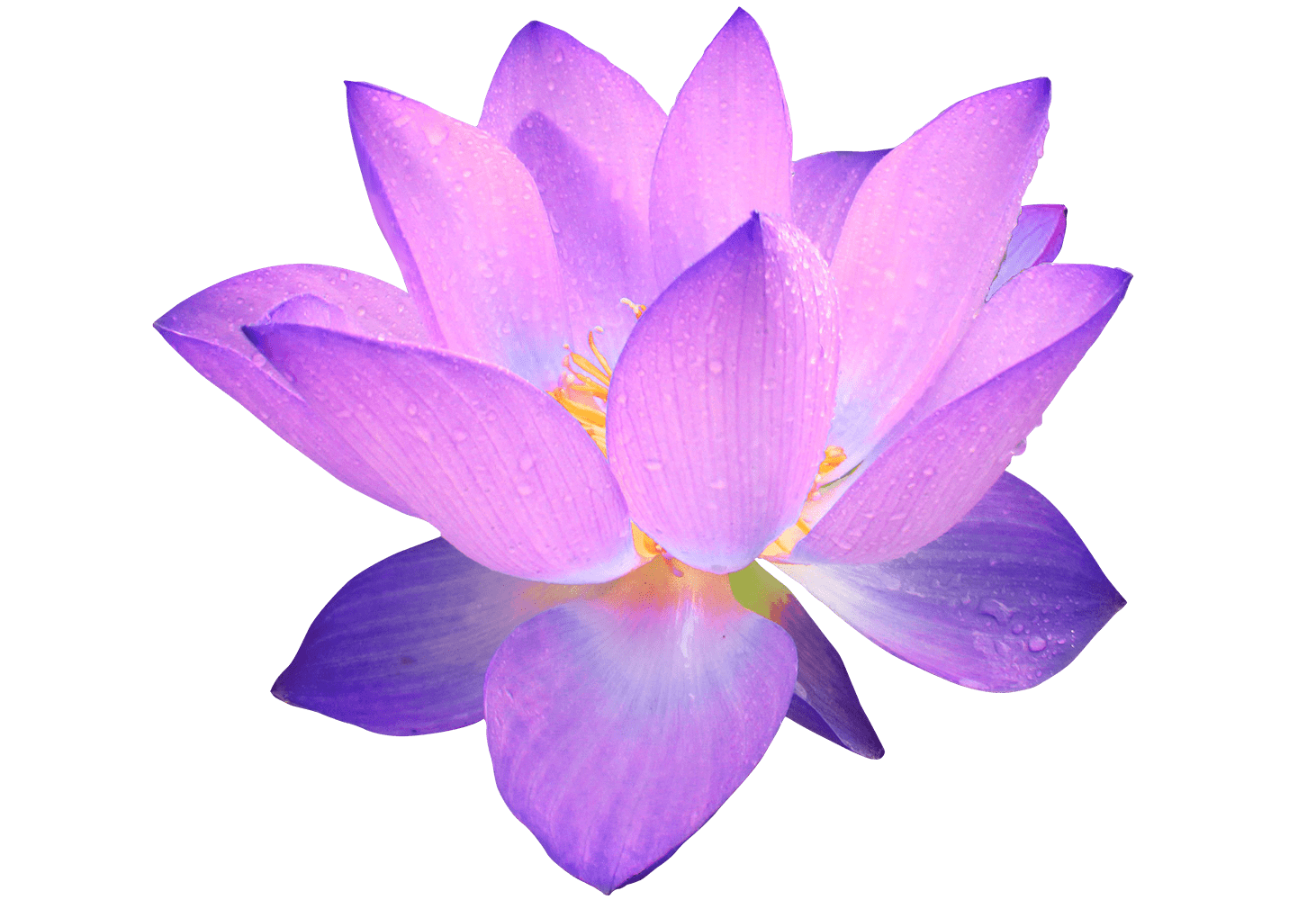 584ab97f1da7ae6ee4705dc8.png