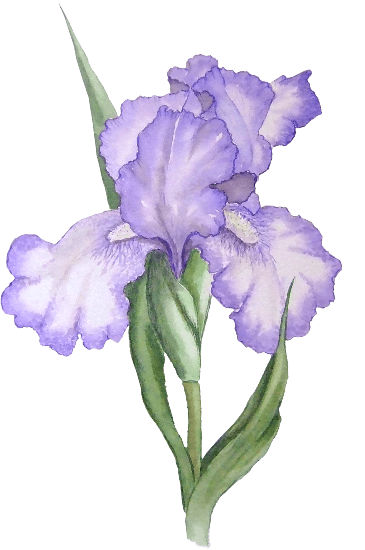 580b585b2edbce24c47b267c.png