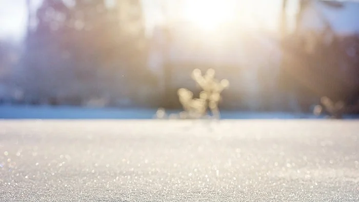 article_winter.jpg