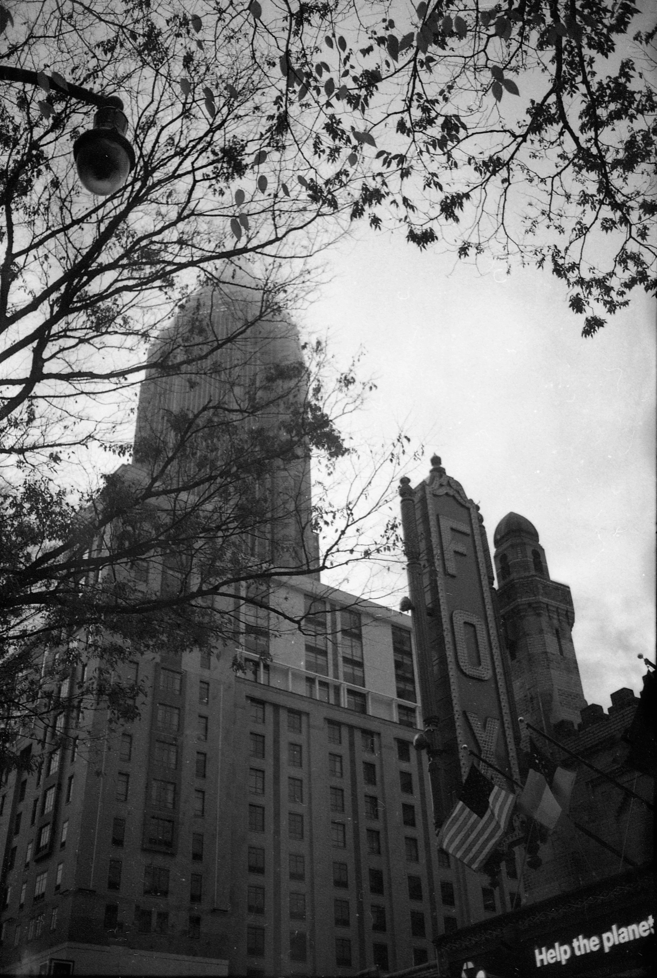 500FCAA5-D1D1-4754-A44B-E96F23EADE50 2.JPEG