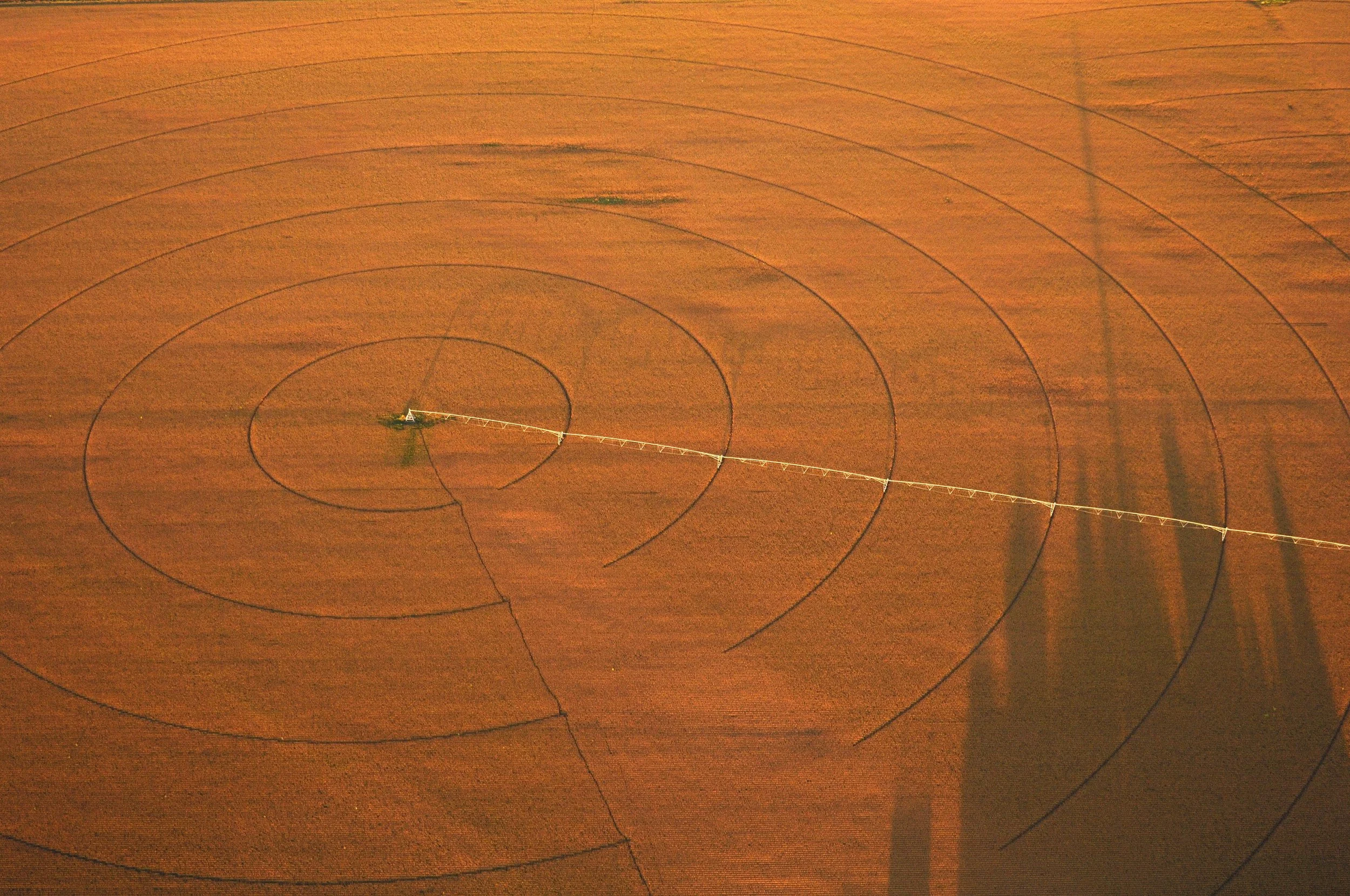 Crop Circles, Nebraska